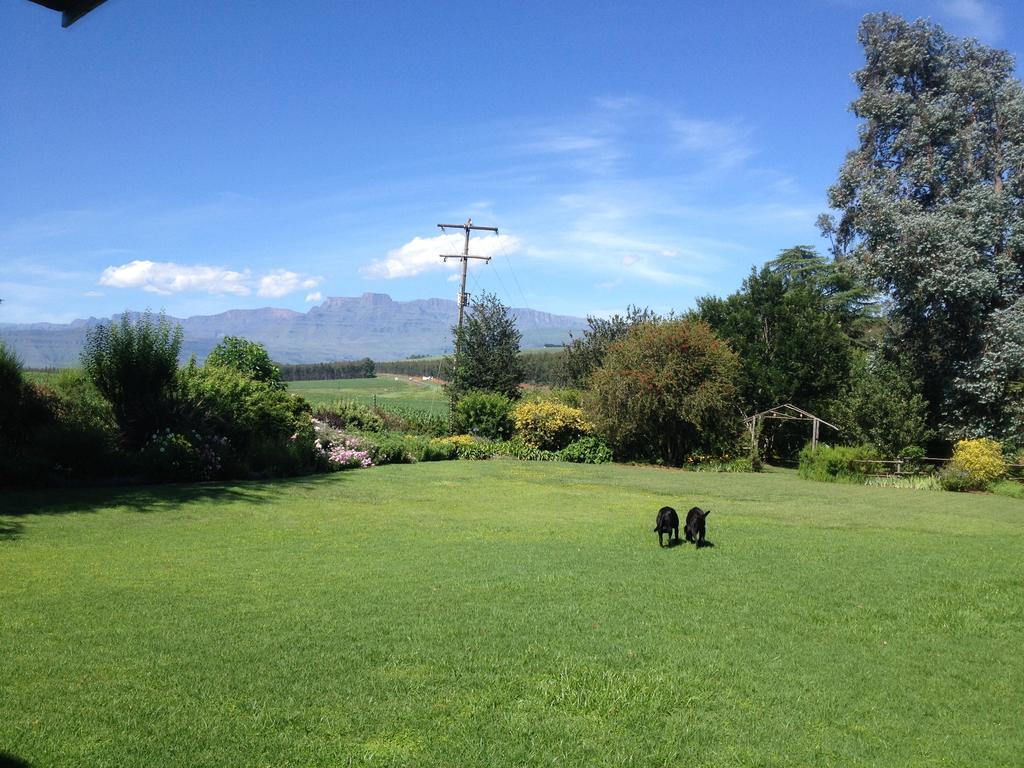 Little Acres Drakensberg Accommodation Champagne Valley Exterior photo